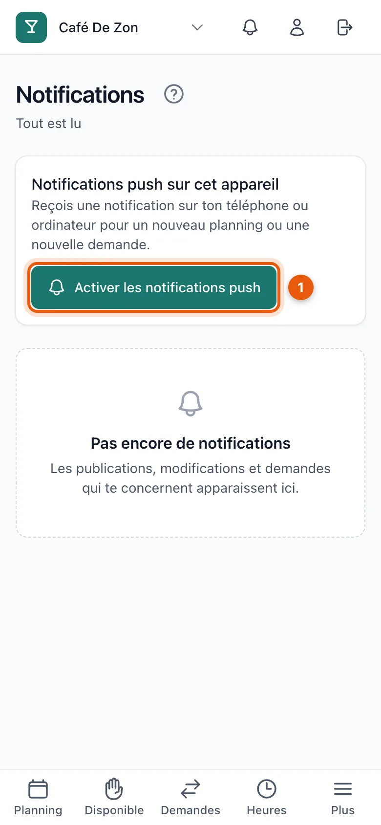 L’écran Notifications avec le bloc Notifications push sur cet appareil